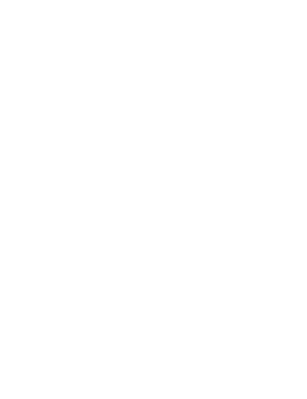 FlashDash
